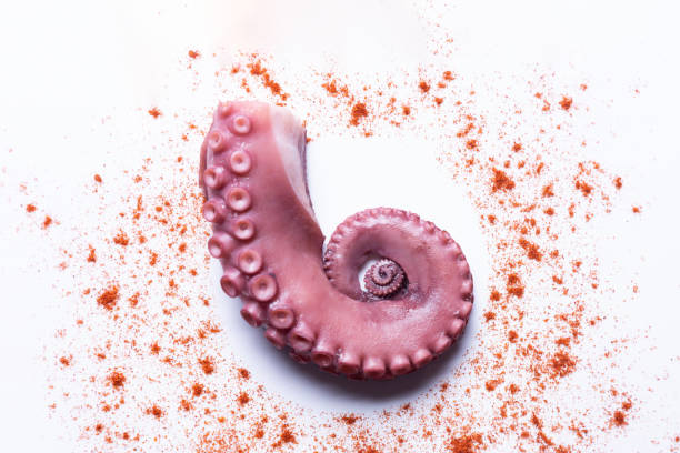 istock tentacles of stew octopus isolated on white background. Top view. 1300380190