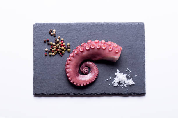istock stew octopus tentacles on a stone plate on white background .Top view. 1300380196