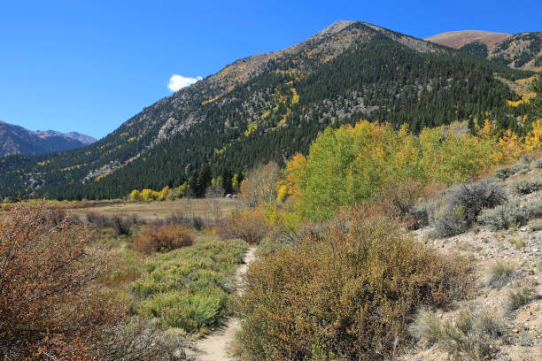 istock Trail in the valley 1300383960