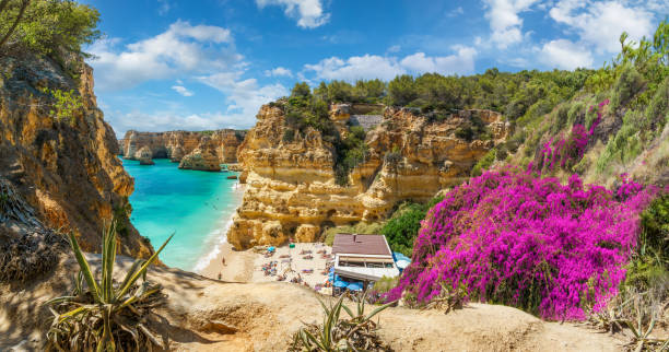 Landscape with beautiful Navy Beach Landscape with beautiful Praia da Marinha, one of the most famous beaches of Portugal, located on the Atlantic coast in Lagoa, Algarve praia da marinha stock pictures, royalty-free photos & images