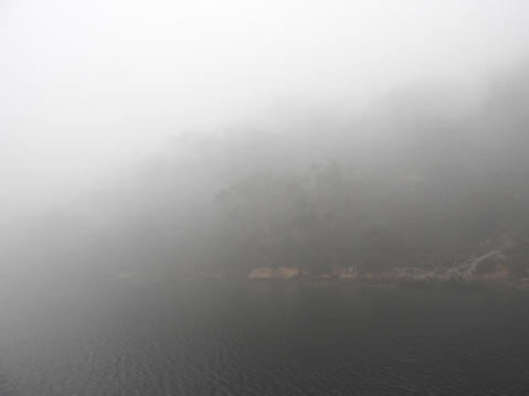 The riparian zone of the river can take on many ambiances where the river becomes the sea