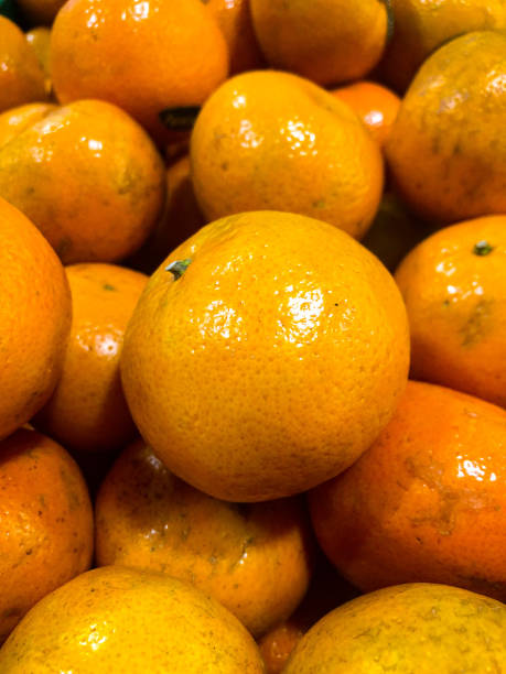 naranjas en el grupo - citrus fruit mandarin orange orange large group of objects fotografías e imágenes de stock