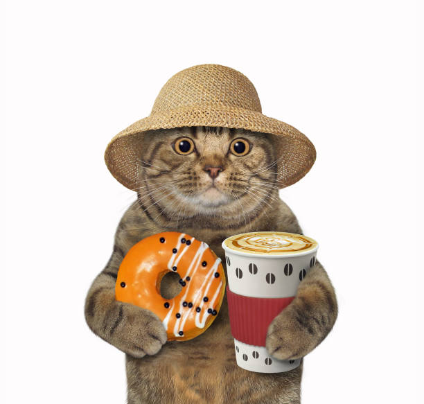 istock Cat with orange doughnut and coffee 1300389935