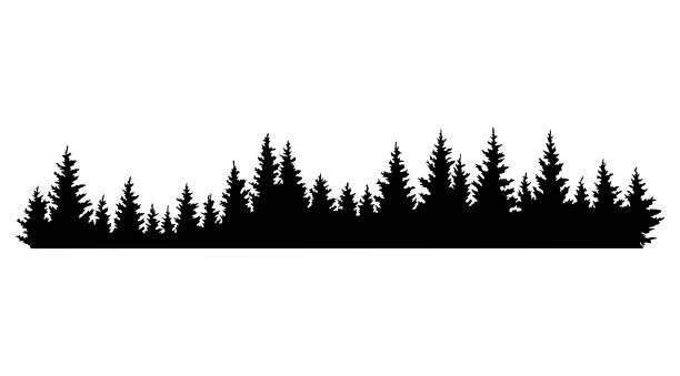モミの木のシルエット。●球状ト��ウヒ水平方向背景パターン、黒常緑林ベクトルイラスト。美しい手描きの景形の林 - 松の木点のイラスト素材／クリップアート素材／マンガ素材／アイコン素材