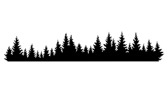 Fir trees silhouettes. Coniferous spruce horizontal background pattern, black evergreen woods vector illustration. Beautiful hand drawn panorama of a coniferous forest.