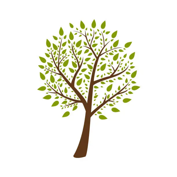 Vector illustration of image of a tree on a white background, vector illustration