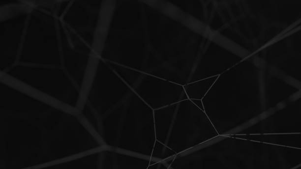 istock Cobweb or spider wed isolated on black background. Plexus fantasy abstract technology background. Lines and depth of field settings. 3d render 1300404103