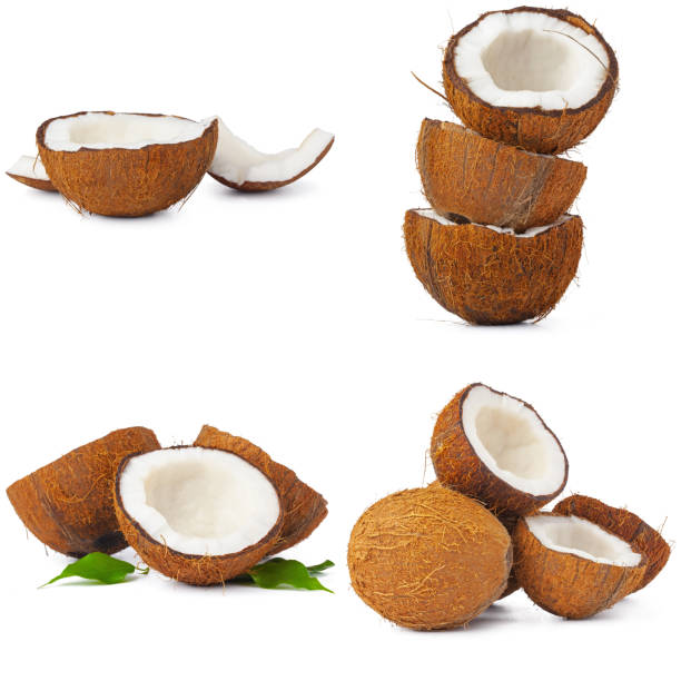 istock Collage of broken coconut pieces isolated on white background 1300404161