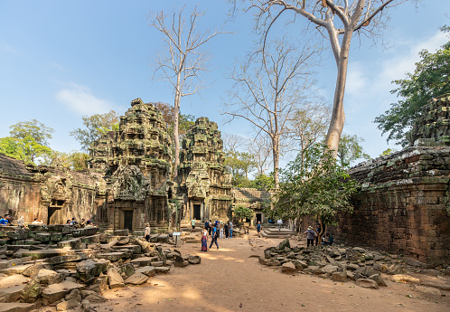 Siem Reap, Cambodia - January 24, 2020: Tourists are admiring the moss covered lotus bud shaped towers at Ta Prohm Temple in Angkor, Cambodia. Ta Prohm is the temple in Siem Reap, Cambodia, built in the Bayon style largely in the late 12th and early 13th centuries by Khmer King Jayavarman VII.