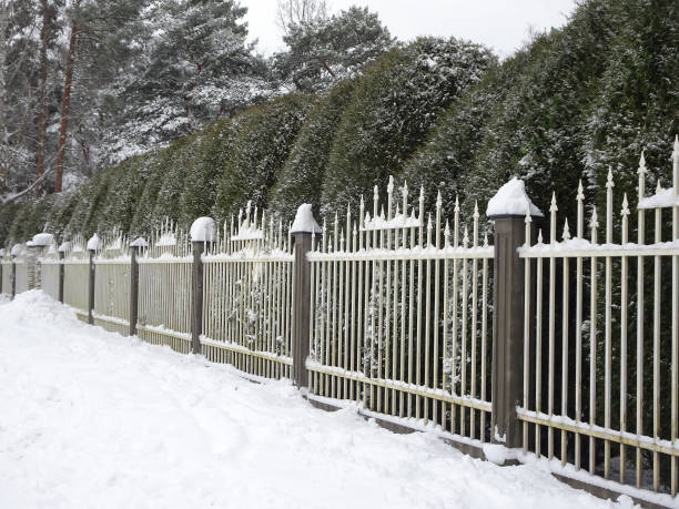 istock Snow covered fence and winter trees 1300410915