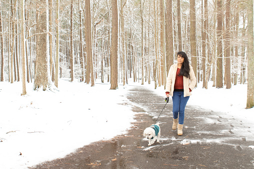Woman walking her dog through the forest