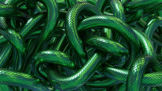 Tangled snakes with green metallic scales. Fantasy background. 3D rendered image. Tangled snakes with green metallic scales. Fantasy background. 3D rendered image in bounds stock pictures, royalty-free photos & images