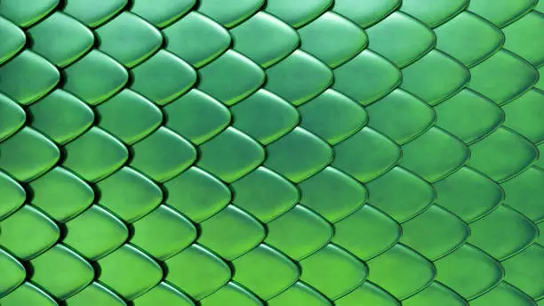 Photo of Snake or dragon green skin with scales. Fantasy texture. 3D rendered background.