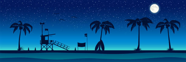 ilustrações, clipart, desenhos animados e ícones de silhueta da praia com palmeiras. panorama noturno do oceano. histórico de vetores. - cruise travel beach bay