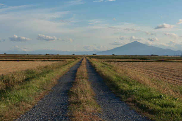 Road and Iwaki mountain