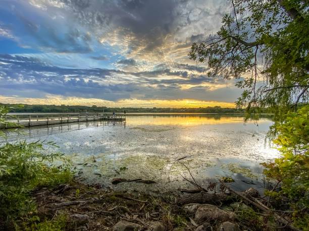 istock Dramatic sunset with cloudy sky over a Minnesota lake filled with green lily pads by a fishing dock in the summer 1300419509