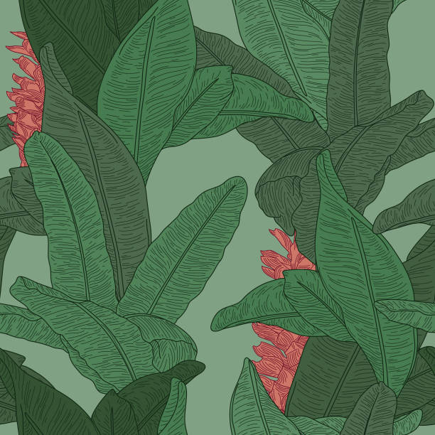 Martinique Inspired Seamless Banana Leaf Pattern Wallpaper A seamless green banana leaf pattern inspired by the famous Martinique wallpaper from Beverly Hills. banana leaf stock illustrations