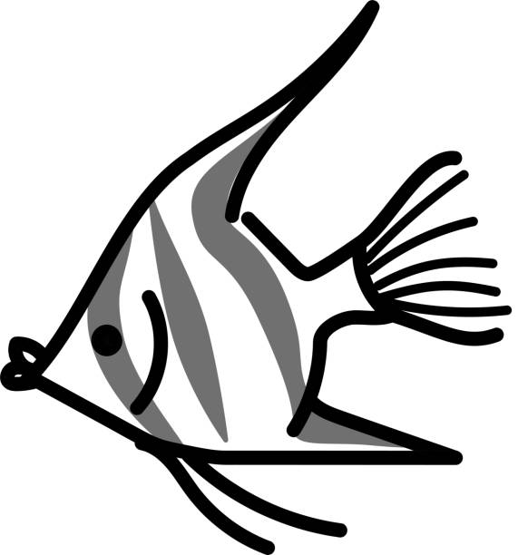 A Simple Illustration Of An Angelfish Stock Illustration - Download Image Now - Angelfish, Animal, Aquarium - iStock A Simple Illustration Of An Angelfish Stock Illustration - Download Image Now - Angelfish, Animal, Aquarium - iStock