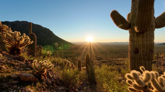 Sunset in Cactus Valley - Timelapse/Hyperlapse