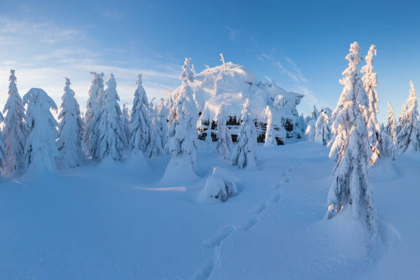 istock Panoramic landscape of Jizera Mountains, view from peak Izera with frosty spruce forest, trees and hills. Winter time near ski resort, blue sky background. Liberec, Czech Republic, Northern Bohemia 1300428920
