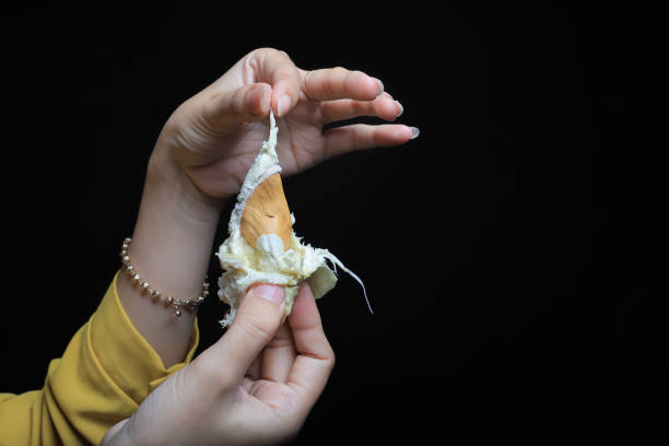 istock Hands Asian women holding durian seeds 1300432141