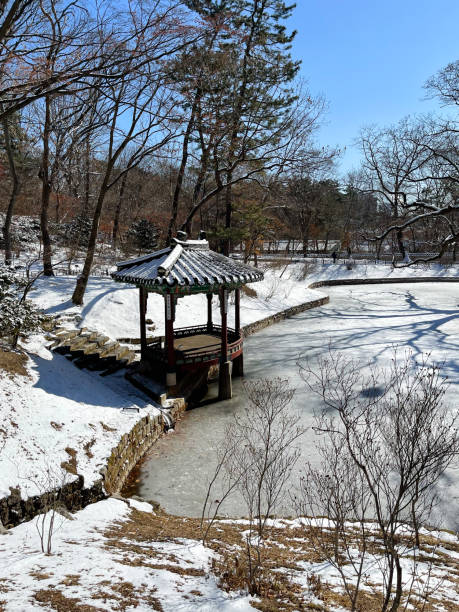istock Winter Landscape in Korea 1300432260