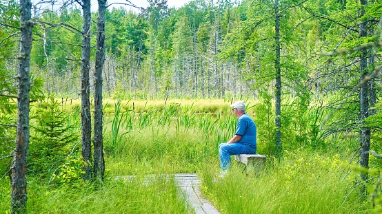 Eastern Townships, Quebec, Canada - July 7, 2012. A senior man sits alone on a wooden bench, surrounded by nature, in a natural wetland park.