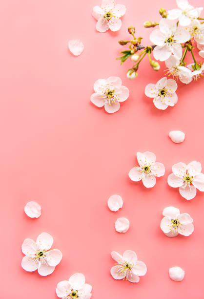 istock Colorful Easter eggs with spring blossom flowers 1300435989