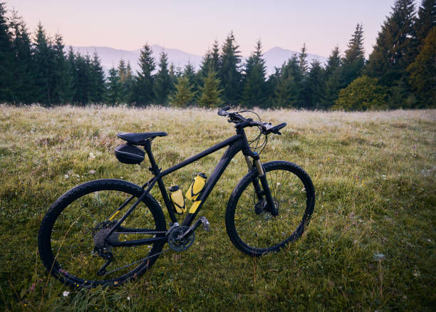 istock Black bicycle on grassy hill with trees and mountains on background. 1300436065