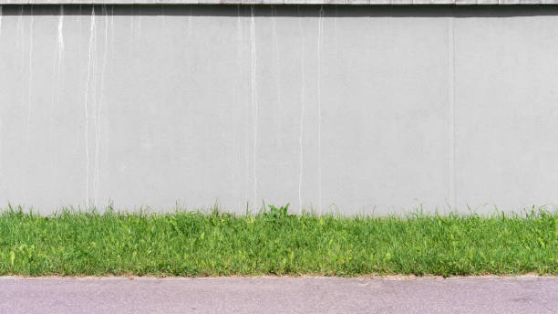 istock Grunge grey concrete large wall over asphalt sidewalk with green grass. 1300437556