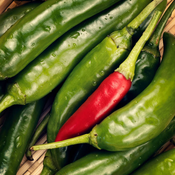 istock Fresh Red and Green Chili Peppers Closeup Top View with Copy Space. Be Different Concept. 1300440111