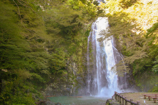 istock Big waterfall in the forest, Minoh 1300440159