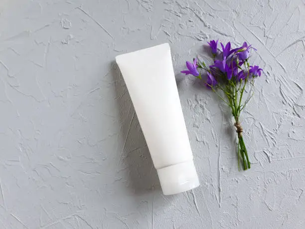 Unbranded white squeeze bottle cosmetic tube and Violet blue flowers bell Campanula persicifolia ( peach-leaved bellflower ) on gray table. Natural organic spa cosmetics concept. Top view