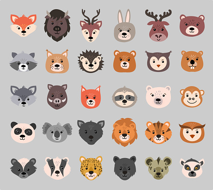 Beautiful set of child style woodland and exotic animals vector collection art