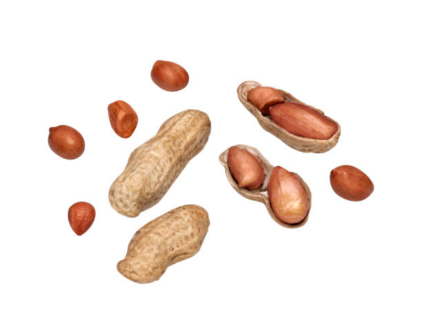 istock Dried peanuts full and pealed isolated on white background 1300443118