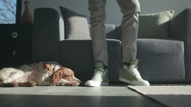 Man sitting on sofa, putting on shoes and leaving, dog lying next to him on floor