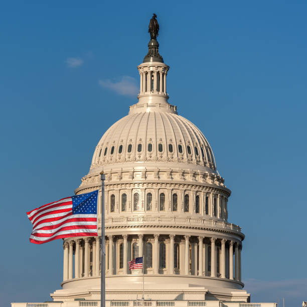 istock US Capitol Building with American flags in Washington DC 1300444446