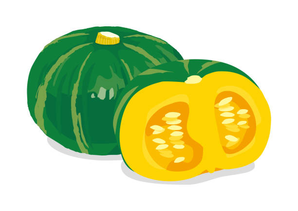ilustraciones, imágenes clip art, dibujos animados e iconos de stock de ilustración vectorial de calabaza sobre fondo blanco - white background horizontal close up vegetable