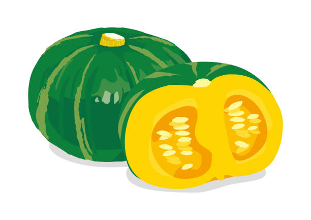 Vector illustration of pumpkin on white background Vector illustration of pumpkin on white background kabocha stock illustrations