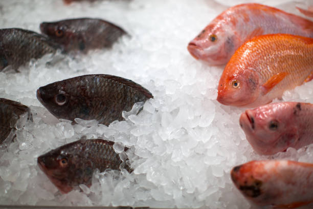 istock Frozen fish in ice in the Thai market. 1300445377