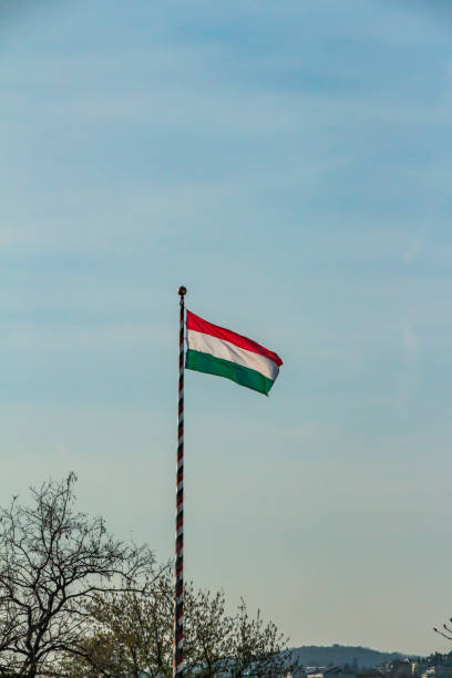 istock Hungarian national flag 1300452953