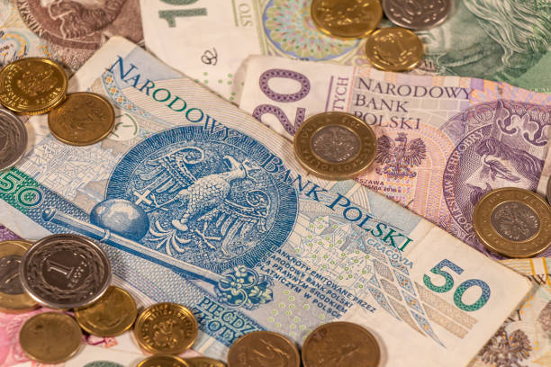 istock Polish Zloty. PLN banknotes and coins 1300453097