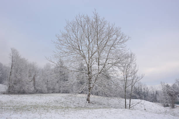 istock the last spring snow on the Belluno Dolomites 1300456775