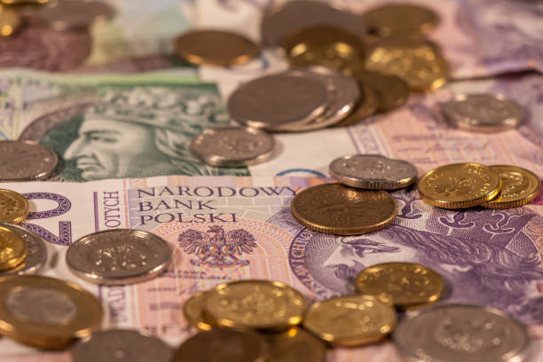 istock Polish Zloty. PLN banknotes and coins 1300458006