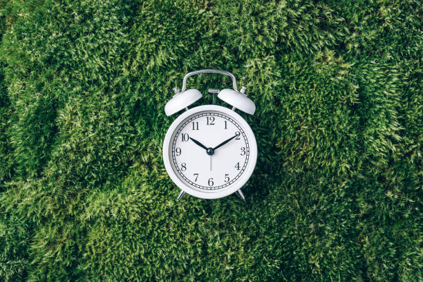 istock Alarm clock on green grass, moss background. Top view. Copy space. Ecology of sleeping 1300462518