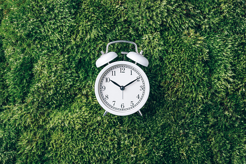 Alarm clock on green grass, moss background. Top view. Copy space. Ecology of sleeping.