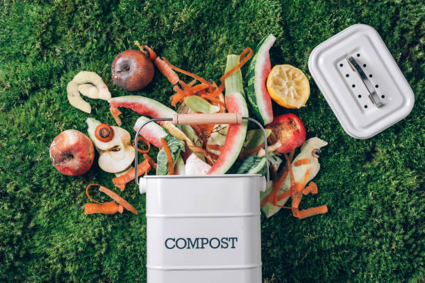 istock Peeled vegetables in white compost bin on green grass, moss background. Trash bin for composting with leftover from kitchen. Top view. Recycling scarps concept. Sustainable and zero waste lifestyle 1300462559