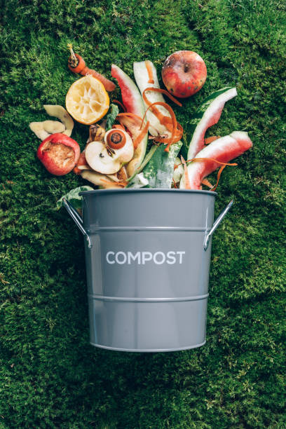 istock Peeled vegetables in white compost bin on green grass, moss background. Trash bin for composting with leftover from kitchen. Top view. Recycling scarps concept. Sustainable and zero waste lifestyle 1300462560
