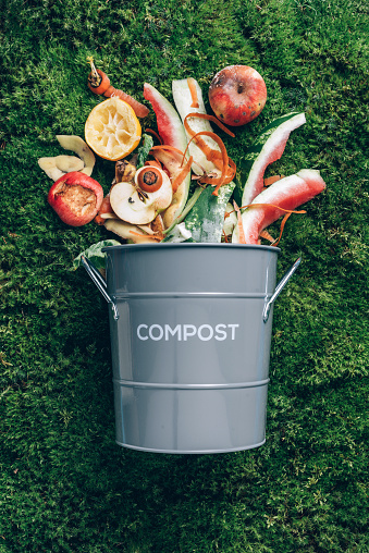 Peeled vegetables in white compost bin on green grass, moss background. Trash bin for composting with leftover from kitchen. Top view. Recycling scarps concept. Sustainable and zero waste lifestyle.