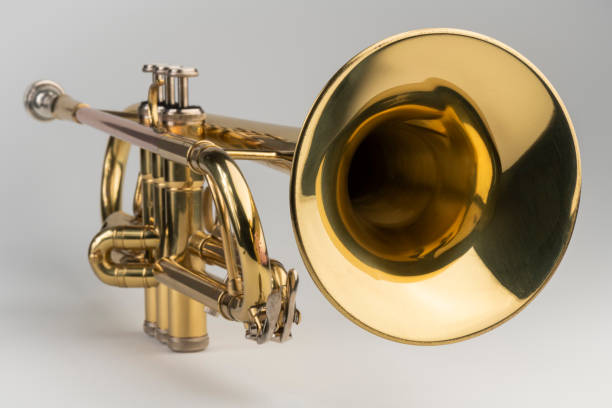 goldfarbene trompete als isoliertes musikinstrument vor weißem hintergrund im studio - trumpet stock-fotos und bilder